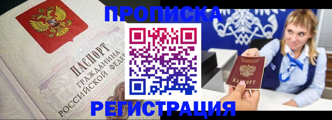 прописка поиск в Невеле